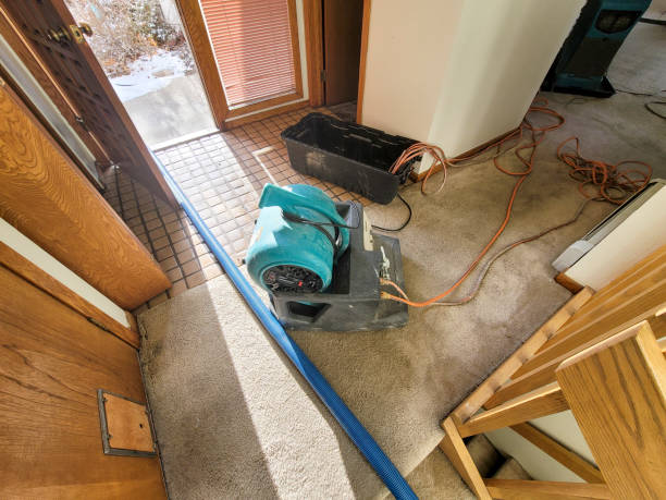 Best Basement water damage restoration  in Strasburg, CO