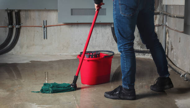 Best Flood damage cleanup  in Strasburg, CO