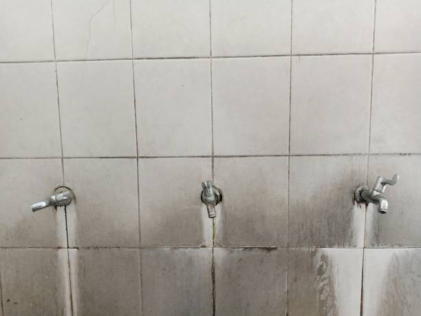 Best Water damage contractors near me  in Strasburg, CO